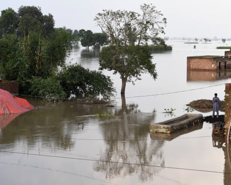 Des agriculteurs pakistanais poursuivent des géants allemands