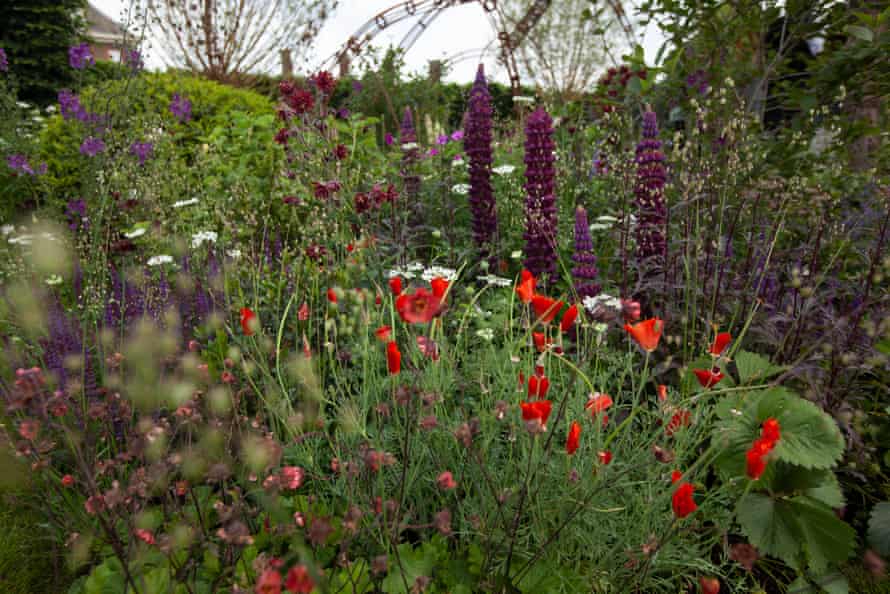 The garden is designed by Tayshan Hayden-Smith and Danny Clarke.