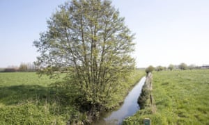 The stream in west Flanders named as Europe’s most polluted.