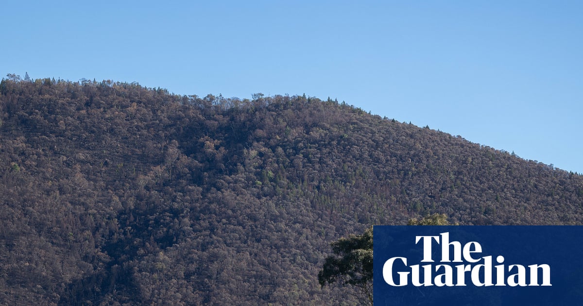 Australia’s most high-profile manhunt ended in a sleepy high country farming community. But how did Dezi Freeman get to Thologolong?