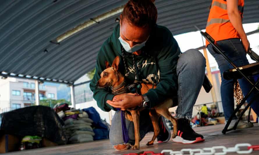 A pistillate   brings an abandoned canine  she recovered  to an carnal  rescue centre