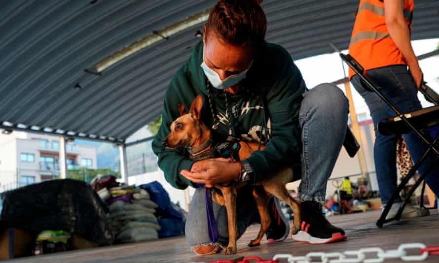 A pistillate brings an abandoned canine she recovered to an carnal rescue centre