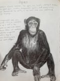 La dernière page du livre de Gabbatiss, sur les chimpanzés.