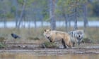 Swedish government aims to