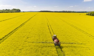 A tractor sprays pesticides on oilseed rape
