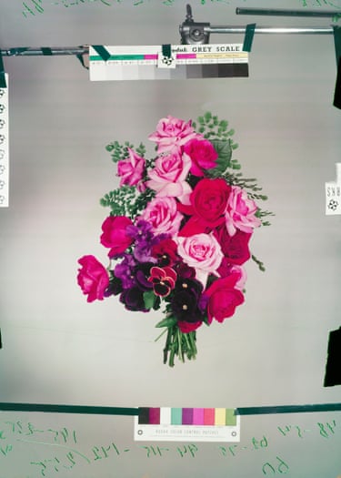 Flowers I, early 1950s