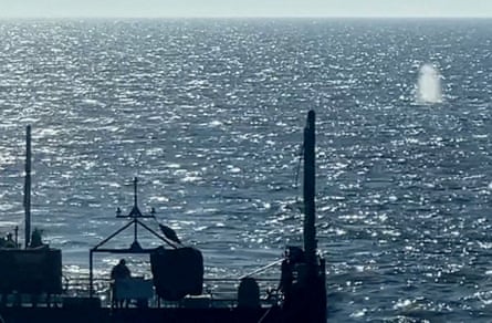 View from a boat shows a fountain blown by the whale as it swims away in calm seas.
