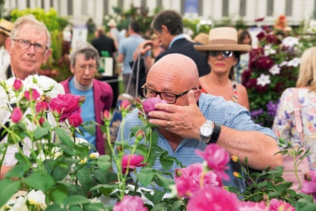 Scratch and sniff: the RHS Chelsea Flower Show.