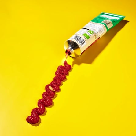 An open tube of tomato puree with a long, wriggly spurt of puree on the surface in front of it, and what looks like a maggot on its way out of the tube, against a bright-yellow background