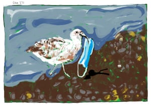 A seagull with a surgical mask