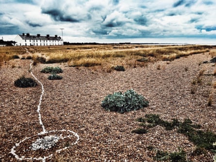 Shingle Street, Suffolk, and the line of white whelk shells.