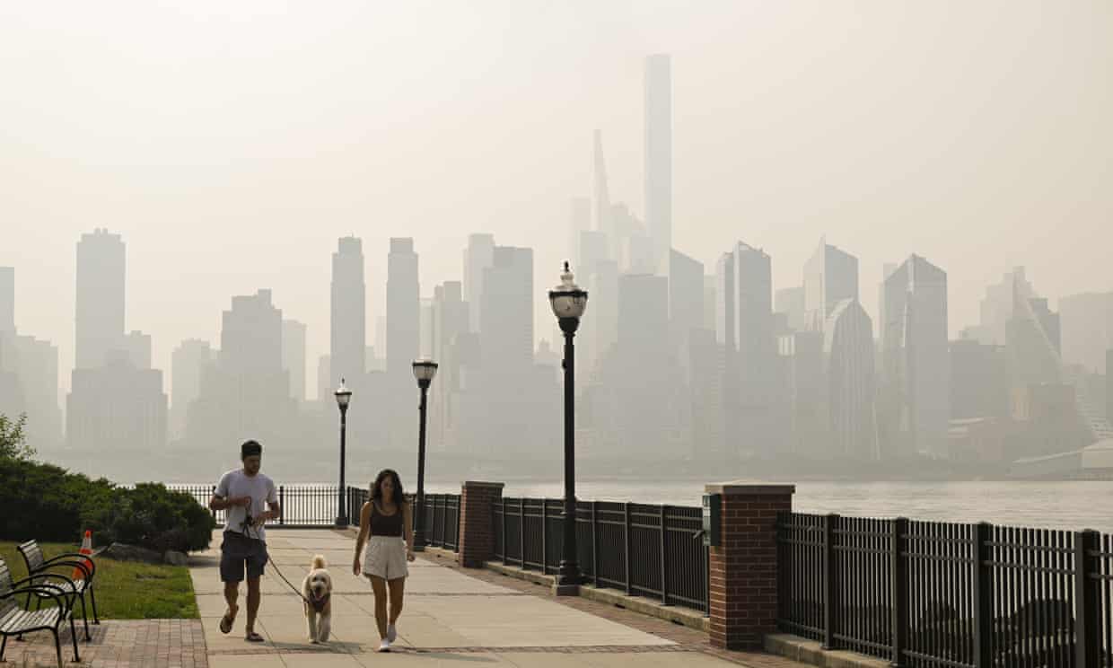 New Yorkers baffled by tiny flying bugs swarming city in wake of smoke (theguardian.com)