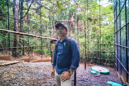 Jayson Ibañez stands in a steel aviary in a forest near Davao city