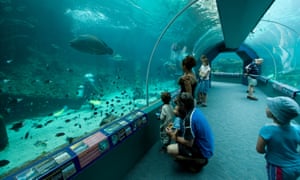 The Reef HQ is a popular place for families to visit and its walk-through coral reef aquarium is the largest in the world.