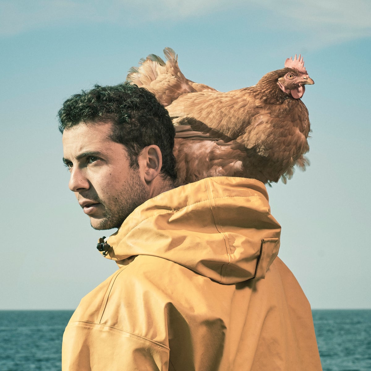 Get Have Hen Will Travel The Man Who Sailed Round The World With A For iPhone Wallpaper Have Hen Will Travel The Man Who Sailed Round The World With A For Android Free