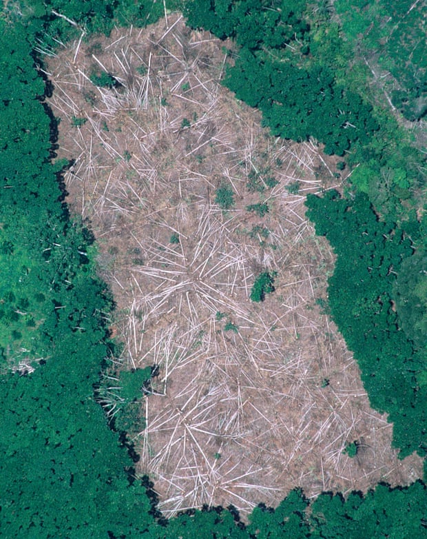 An aerial photograph of an area of the Brazilian Amazon where trees have been felled, then burned