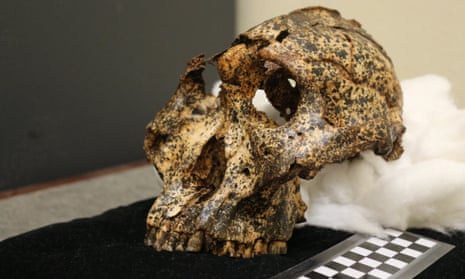 Two million-year-old skull of human cousin found by Australian team in South African cave | Archaeology | The Guardian
