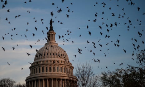 A flock of birds flies near the US Capitol at dusk on Thursday, hours before Friday’s deadline for Congress to avoid a government shutdown.