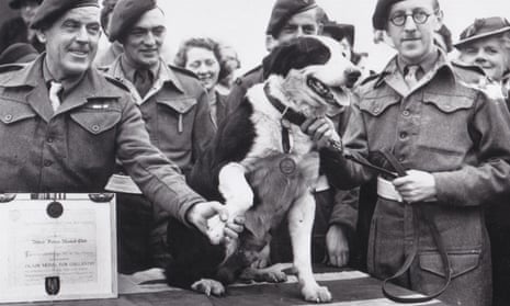 Rob the para-dog receives the PDSA Dickin Medal for Gallantry from Major-General Philip Sidney (left)