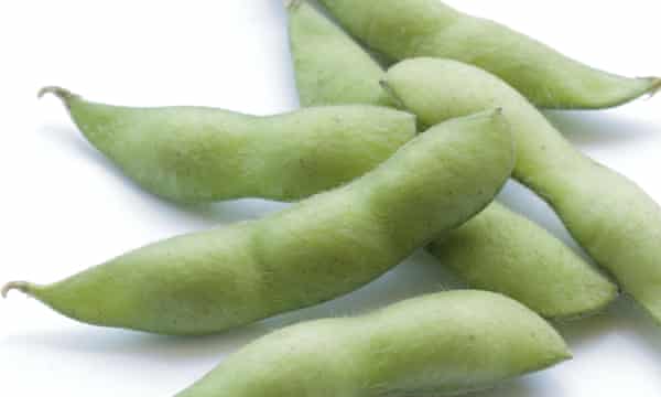 Japanese green soybean isolated on white background