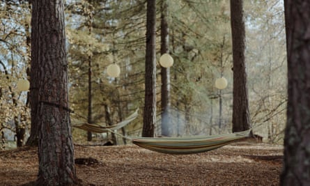 Hammocks in the forest