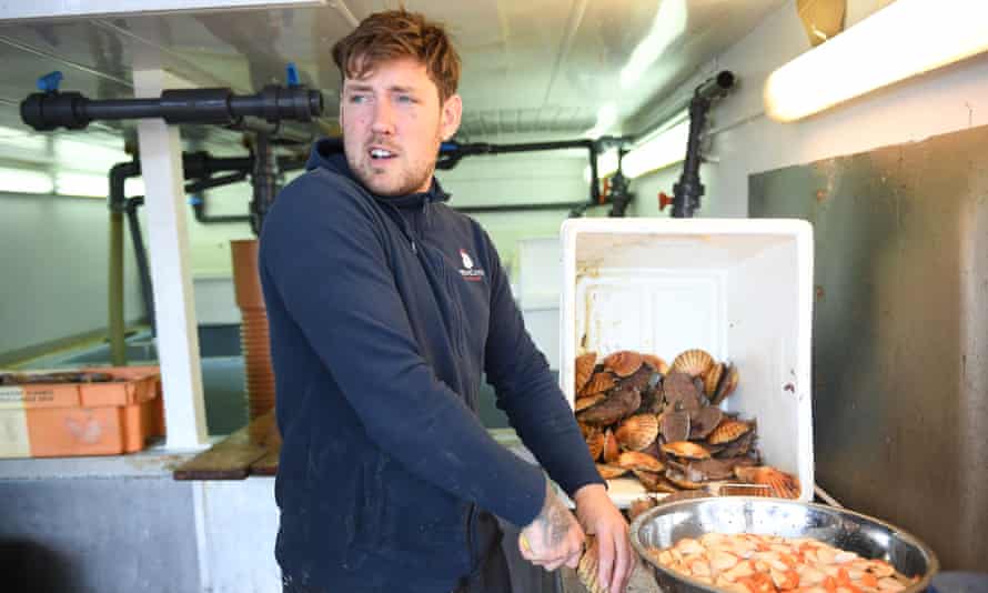 Toby Greatbatch, Greatcatch Seafood.