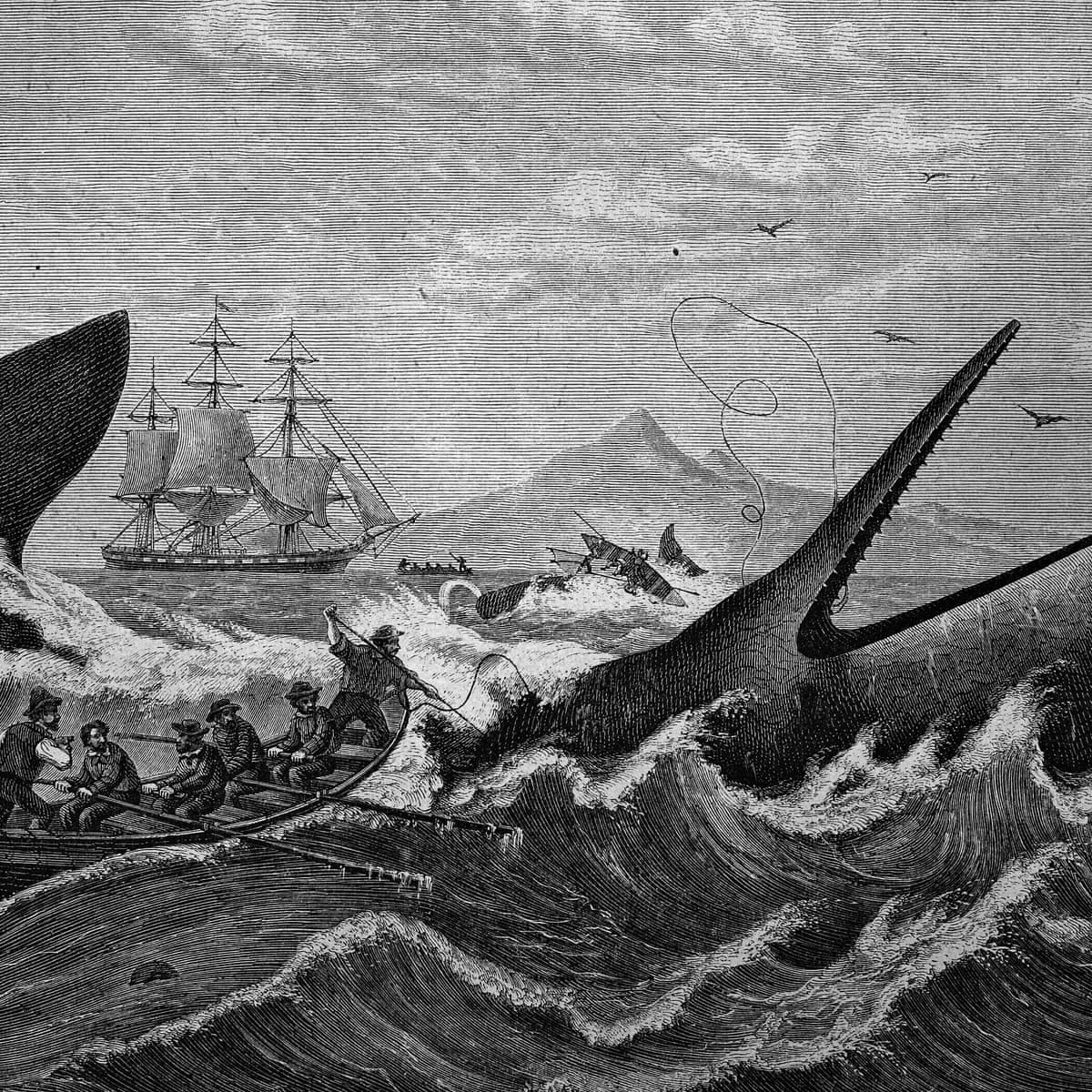 allegory in moby dick