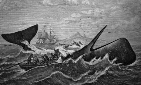 A woodcut showing a sperm whale being hunted by whalers, c 1870.