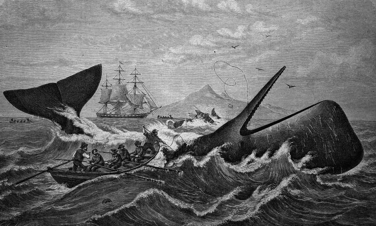 The true story behind the viral TikTok sea shanty hit New The true story behind the viral TikTok sea shanty hit New