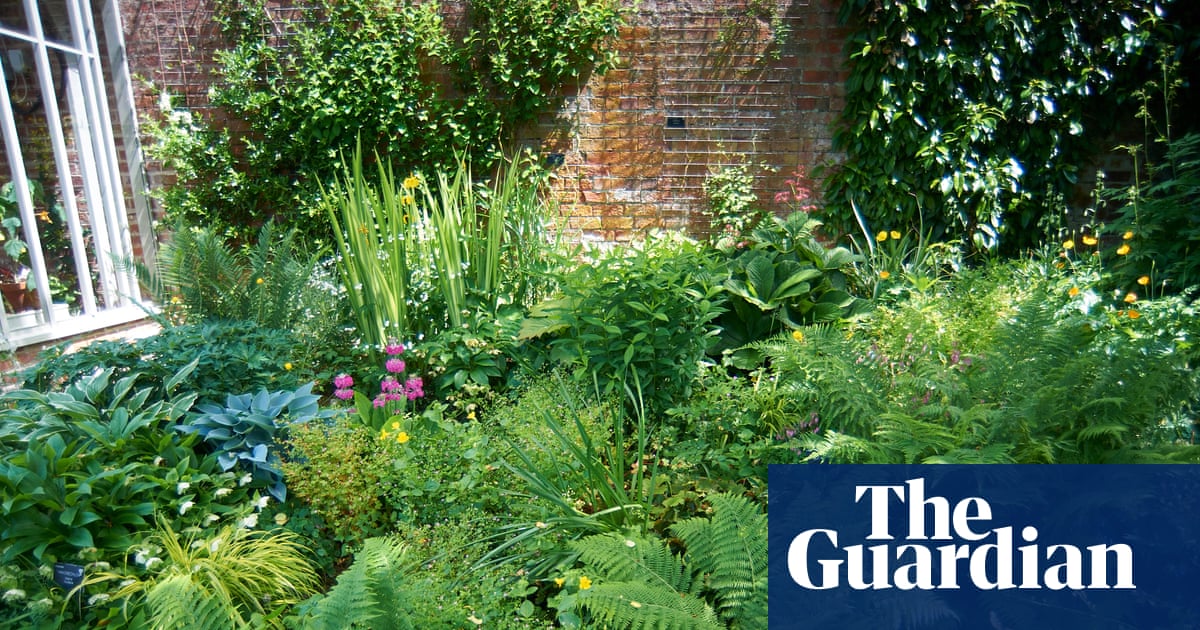Ain't no sunshine? How to embrace your shady, north-facing garden