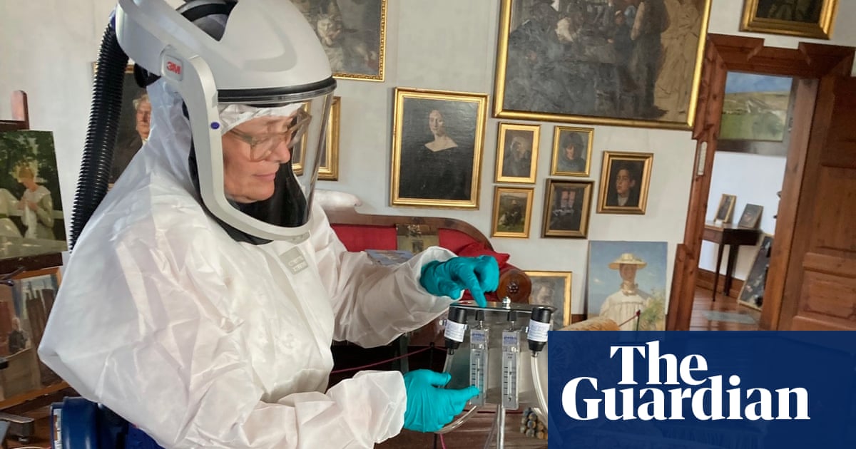 Denmark's museum objects at risk from extreme' new mould, say conservators