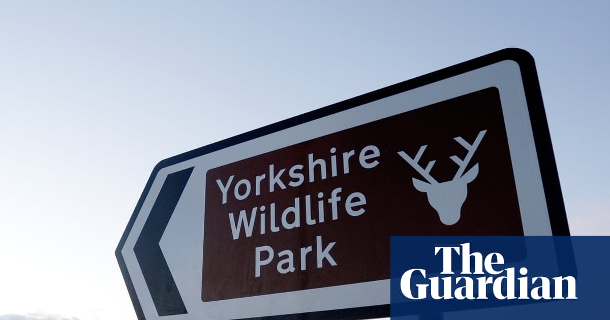 Wildlife park confirms tiger will not be euthanised after man mauled to death