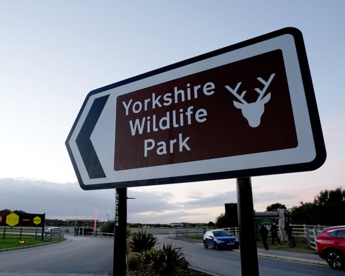 Wildlife park confirms tiger will not be euthanised after man mauled to death