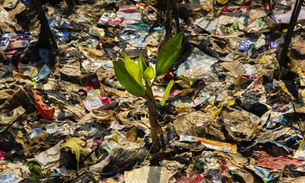 A mangrove surrounded by plastic trash in Jakarta, Indonesia, May 2018.