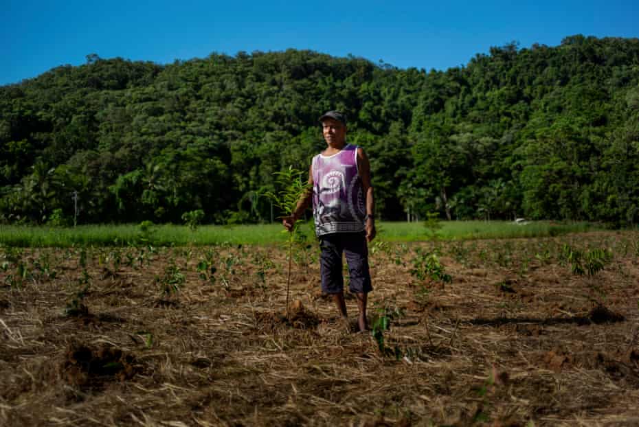 Traditional owner and Yajanji elder Bennett Walker stands on what was once a sugarcane field in the Daintree in Far North Queensland. The farm, now belonging to Annie Schoenberger, is being replanted with native rainforest vegetation.