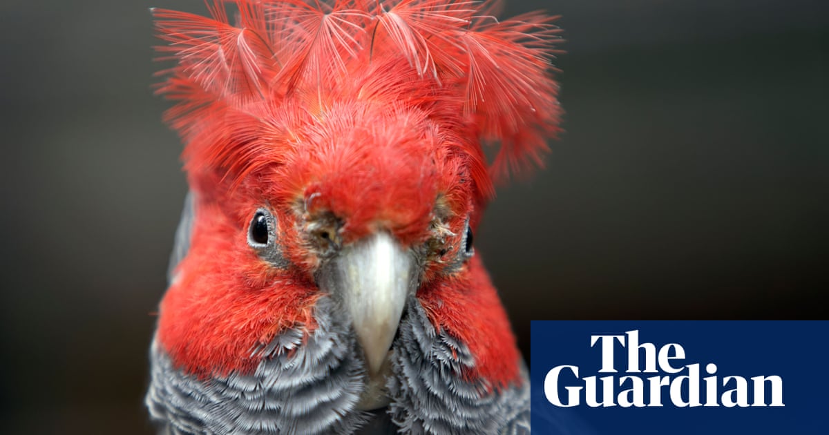 Animals ‘shapeshifting’ in response to climate crisis, research finds