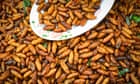 Singapore has approved 16 insects to eat as food: here's everything you need to know