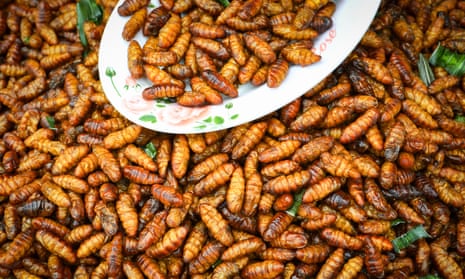Fried silkworms