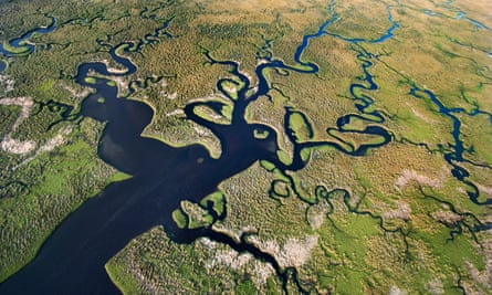 The Everglades national park seen from the air.