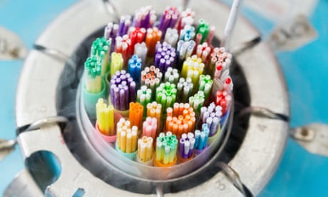 Straws containing frozen eggs and sperm