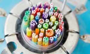 Frozen embryos in liquid nitrogen.