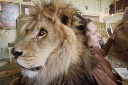 Tippi Hedren with Neil the lion, in 1971.