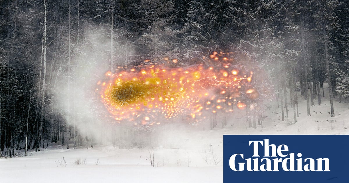 a finn szalagosférgek fajai