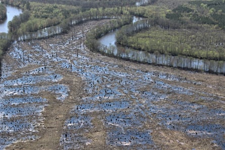 An aerial view of a clearcut section of a hardwood forest along the Nottoway River in Virginia, 2019.
