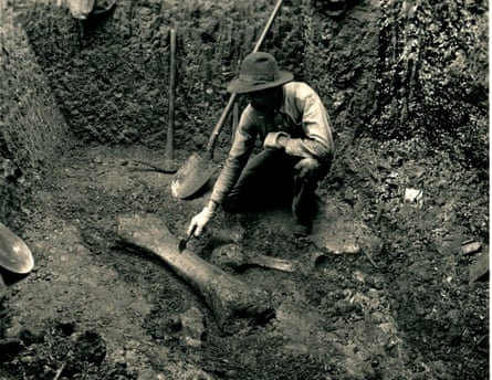 A man next to an elephant bone