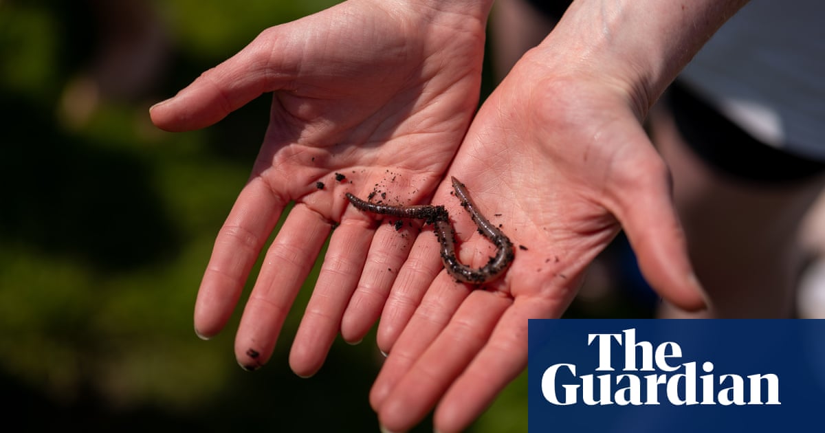 UK public invited to dance for worms to help assess soil health | Soil