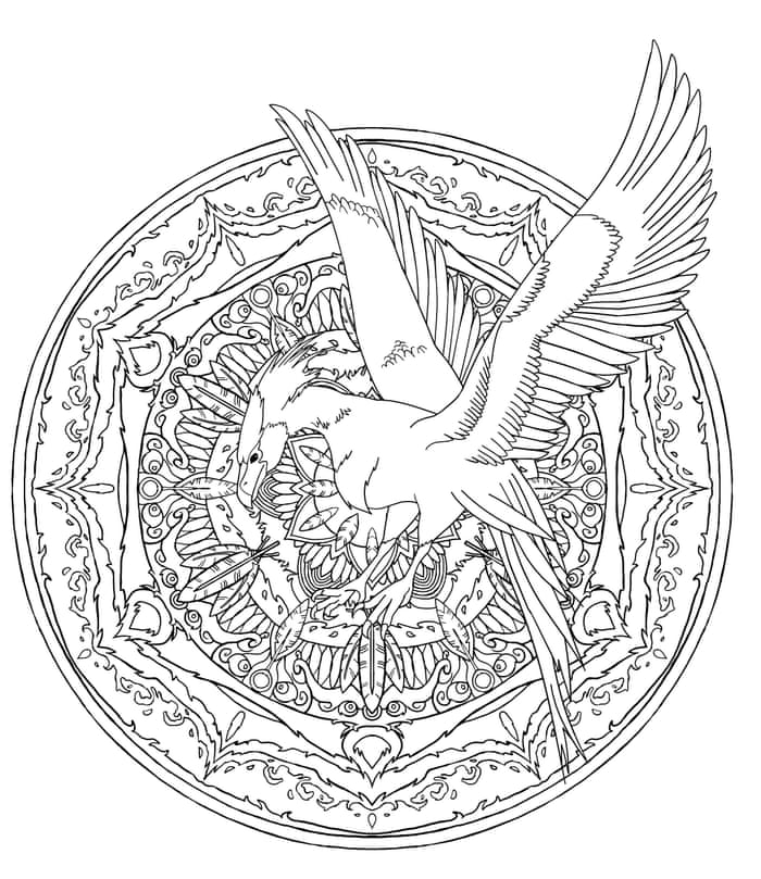 Colouring Harry Potter S Magical Creatures A Guide To