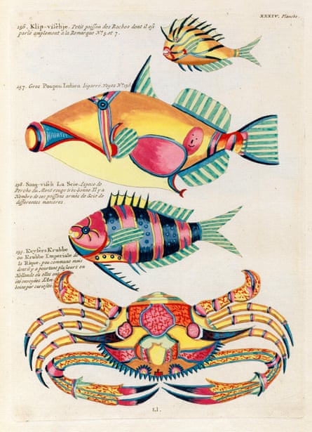 Louis Renard’s Poissons, ecrevisses et crabs