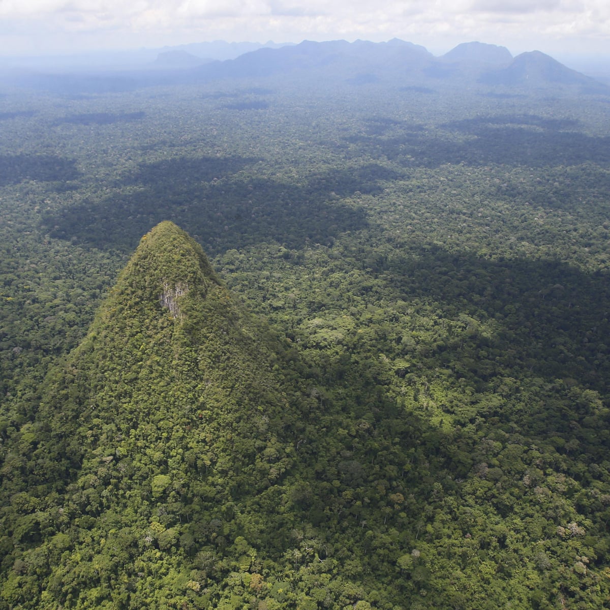 It S As If We Ve Learned Nothing Alarm Over Amazon Road Project Amazon Rainforest The Guardian It S As If We Ve Learned Nothing Alarm Over Amazon Road Project Amazon Rainforest The Guardian