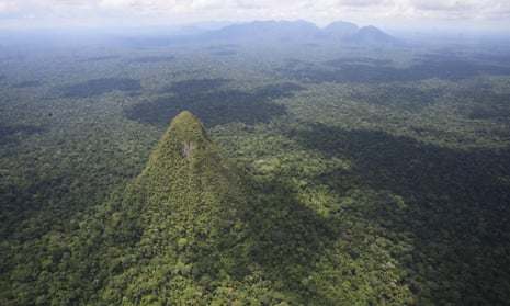 The extension to the BR-364 would cut through the Serra do Divisor national park, one of the Amazon’s most biodiverse regions.